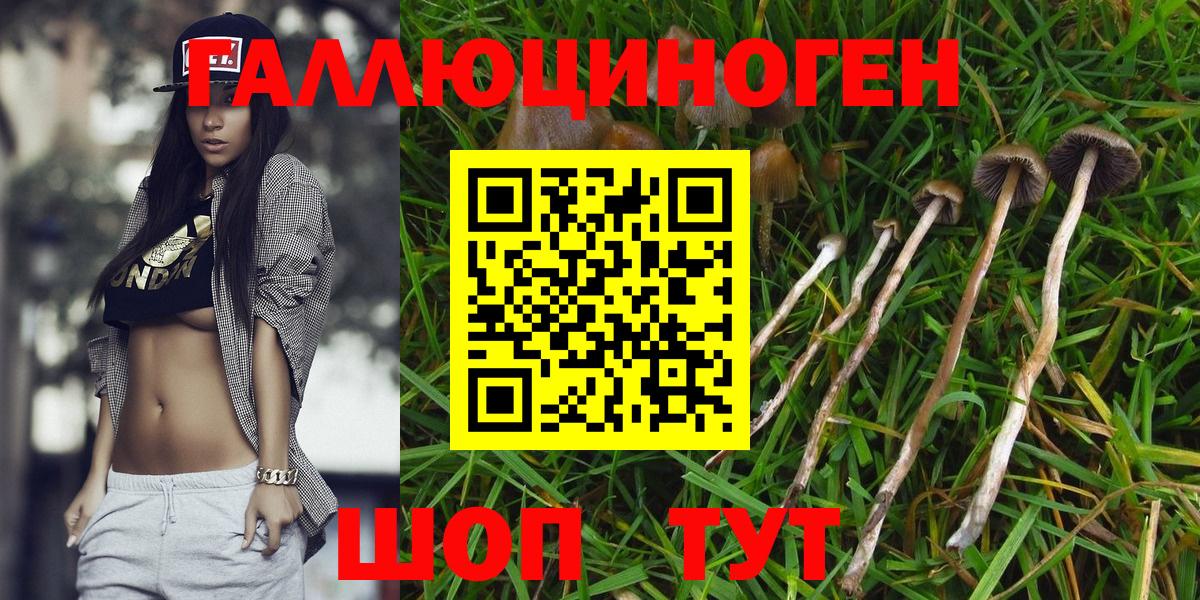 Галлюциногенные грибы Magic Shrooms  Вход с VPN  Алейск 